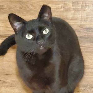 Meet your Posher, Sue